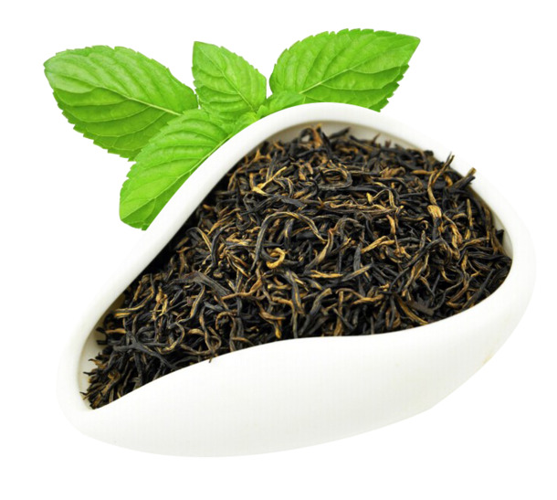 白瓷碗配安化黑茶高清PNG透明图片，动植物元素，设计素材免费下载