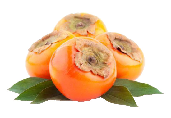 高清柿子PNG素材，透明植物装饰元素，设计必备，免费下载