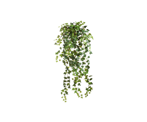 高清PNG蓬松墙头草爬山虎装饰元素，透明图片设计素材下载