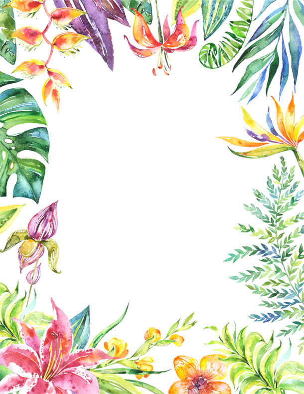 手绘彩色热带植物边框PNG素材，高清透明装饰元素，免费下载