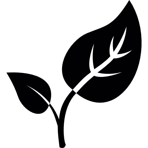 高清芽叶PNG图标，透明免扣元素，创意图片设计素材下载