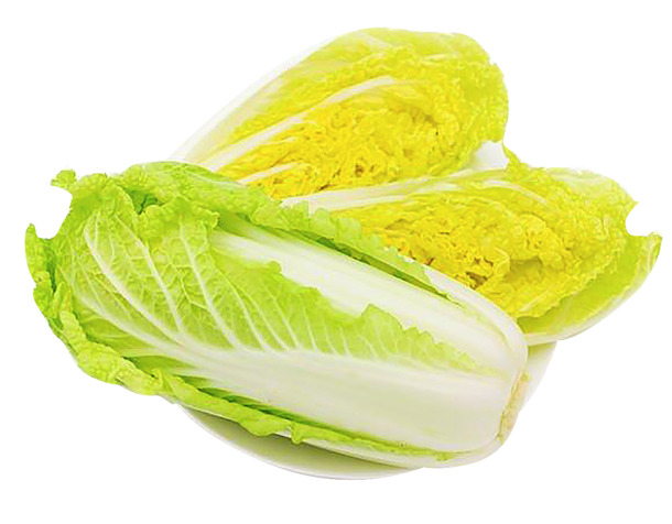 新鲜大黄白菜PNG素材，高清透明免抠元素，一键下载设计资源
