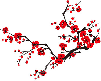 中国风水墨梅花PNG透明图片，精美装饰元素与笔触设计素材，高清下载