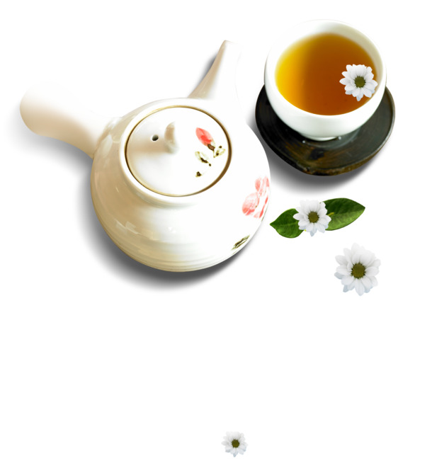 白菊花茶PNG透明图片，高清装饰元素PSD素材下载