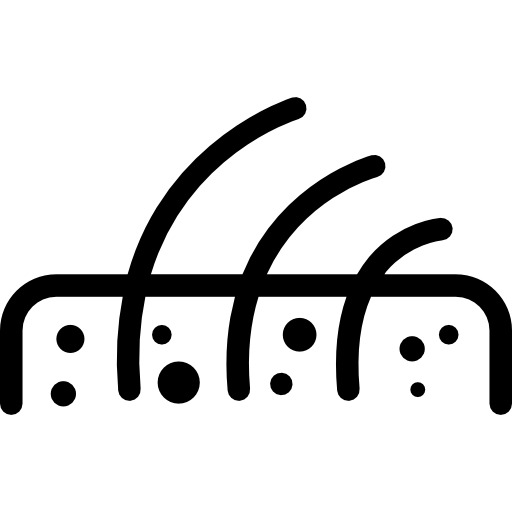 皮肤毛囊PNG图标，高清透明免抠素材，一键下载设计元素图片