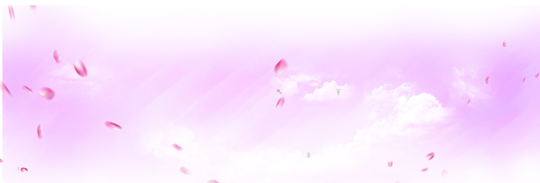粉色紫色花瓣背景，高清PNG透明素材，创意Banner海报设计必备