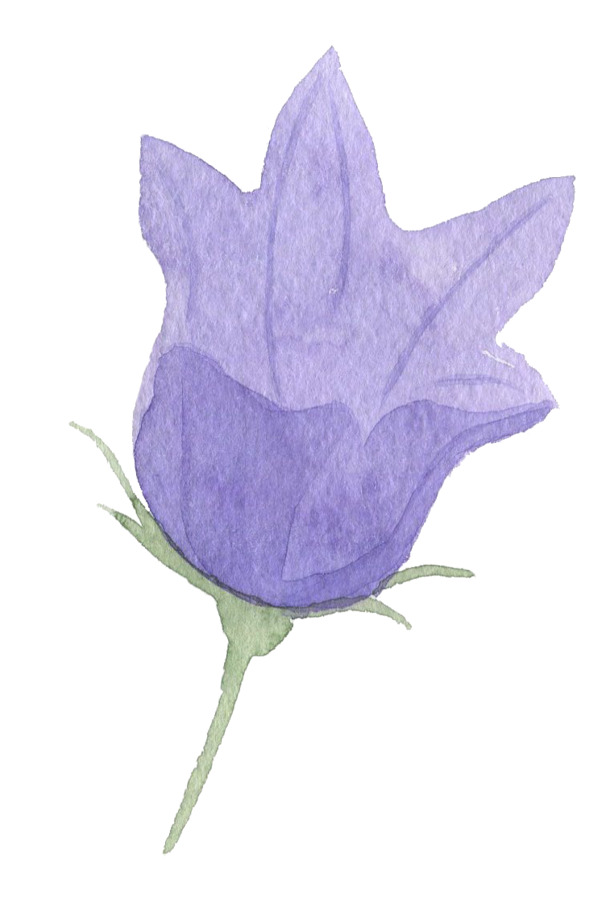蓝色水彩花朵PNG透明图，高清花瓣漂浮元素，设计素材下载