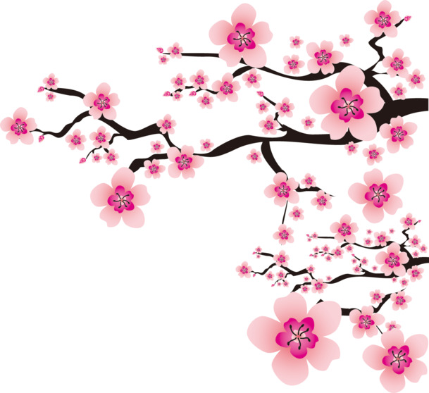 立冬梅花PNG素材，高清透明图片，节日元素设计下载