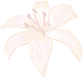 夏日花朵素描PNG透明图，国庆节日元素设计素材下载