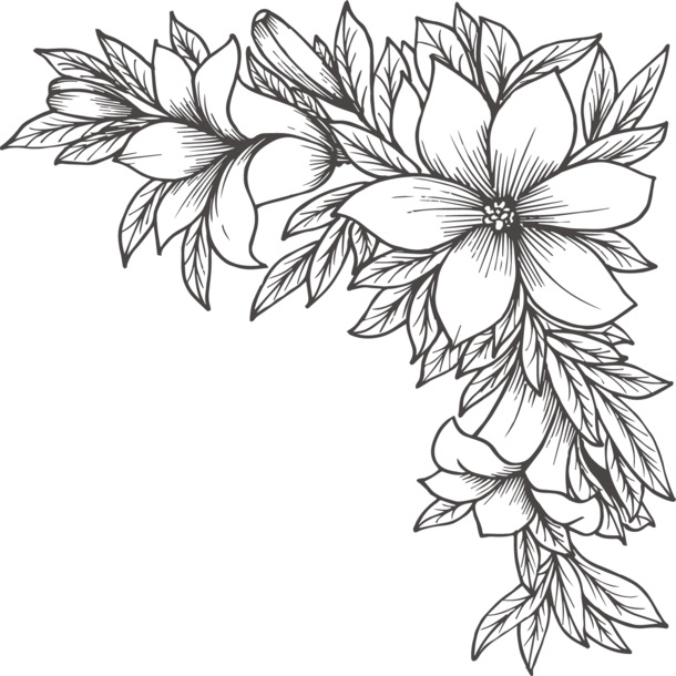 手绘黑白花卉PNG透明图片，高清装饰元素，花纹设计素材下载
