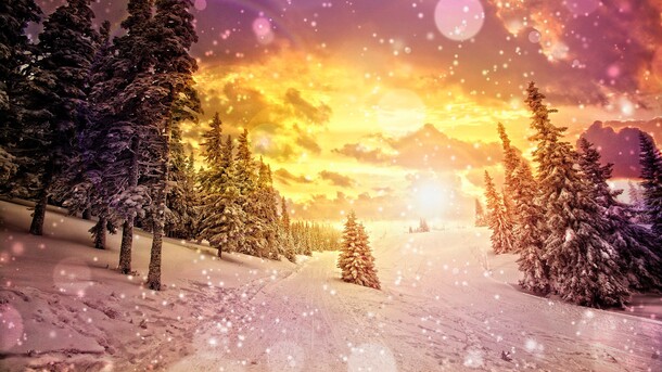 雪地日落松树高清PNG透明背景，创意海报设计素材免费下载