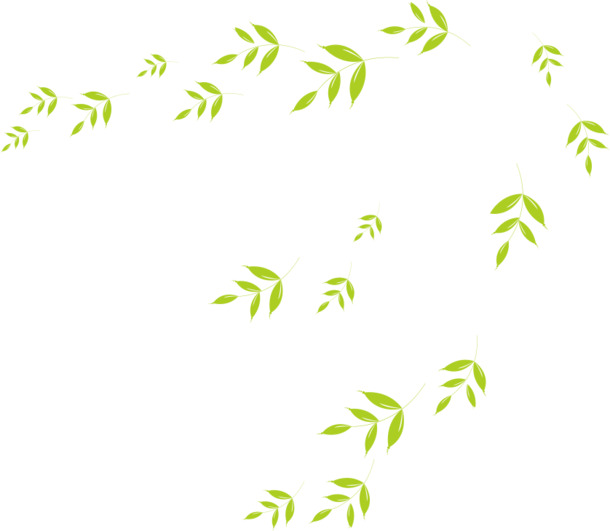 高清PNG绿叶漂浮底纹，透明图片素材下载