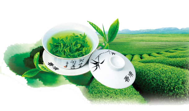茶叶PNG透明图，精美装饰元素与图案，高清素材免费下载