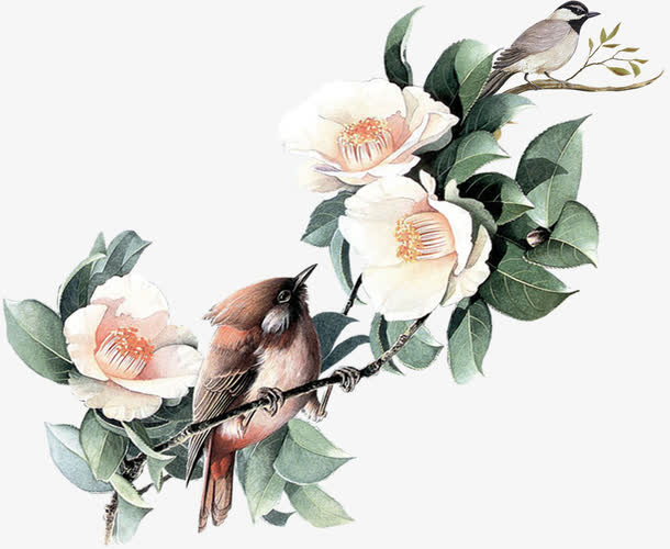 杜鹃花PNG高清透明图，动植物元素设计素材免费下载