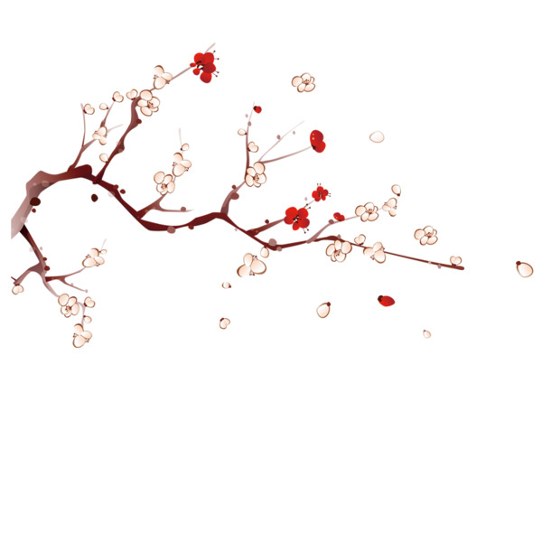 冬日梅花绽放盛景，高清PNG透明图片，精美装饰元素，植物设计素材下载