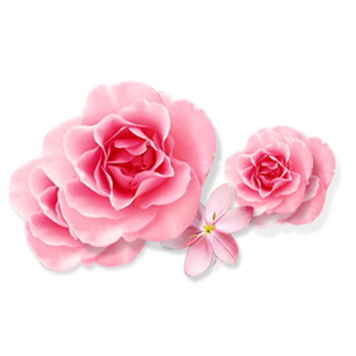 手绘卡通花朵PNG/PSD透明图片，高清设计素材免费下载