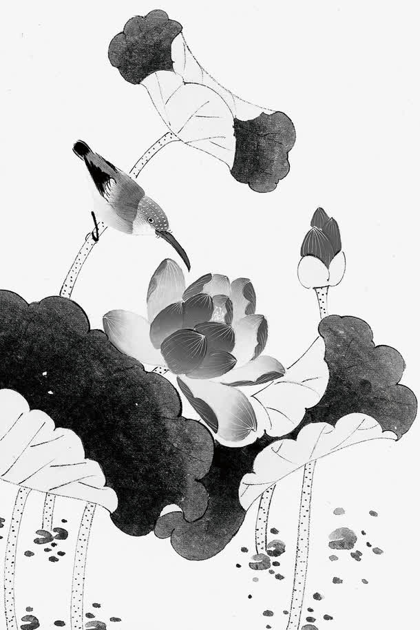 荷花PNG透明图，高清墨迹笔触，PSD设计素材免费下载