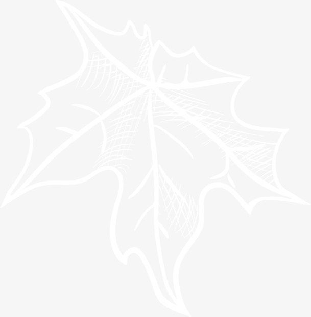 纯净白枫叶PNG透明底图，高清设计素材，免费下载