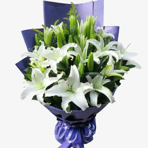 绽放百合花，高清PNG透明图片，优雅漂浮花瓣，设计素材免费下载