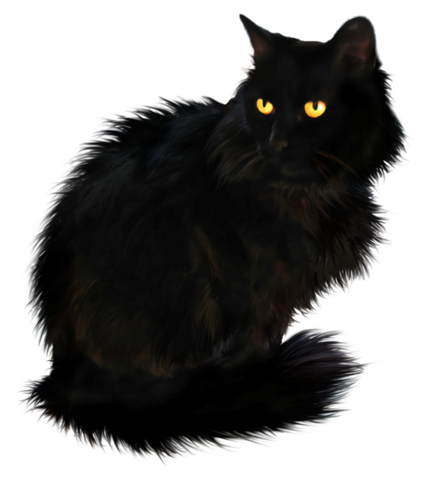 万圣节黑猫PNG透明图，动植物元素设计素材，高清下载