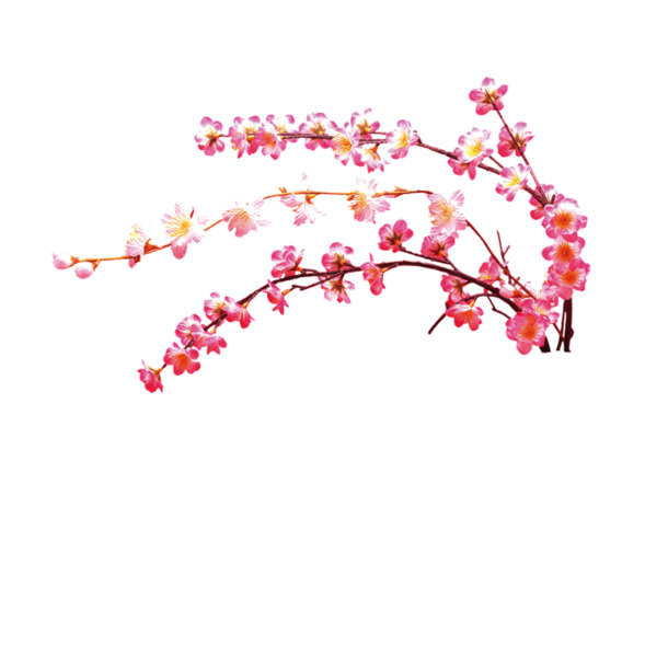 免扣高清PNG桃花素材，透明漂浮花瓣图片，设计元素丰富，一键下载