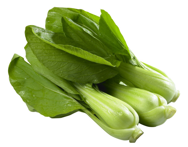 高清PNG透明图片，新鲜油菜特写，设计素材大放送！