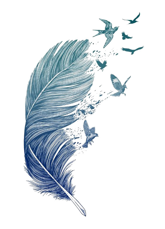 蓝色羽毛PNG透明图，手绘卡通元素，高清素材下载