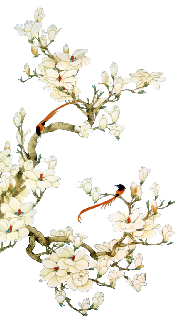 中国风白色花鸟PNG透明装饰素材，高清下载，创意图片设计元素