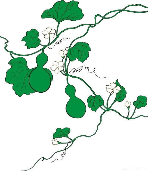 黑色矢量叶子葫芦PNG透明图，动植物元素，AI设计素材下载