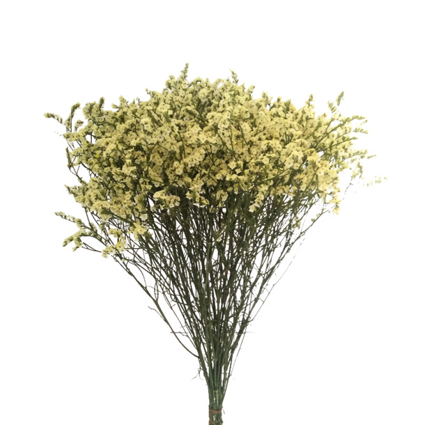 干花花束PNG透明图，高清装饰元素，植物设计素材下载