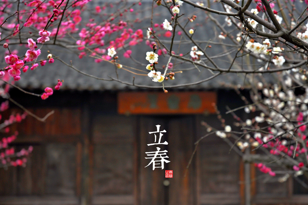 立春粉色桃花高清PNG透明背景，房子摄影风景素材下载