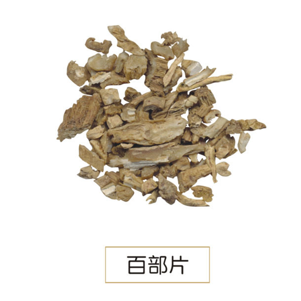 百部精选高清PNG动植物元素透明图片，植物设计素材下载