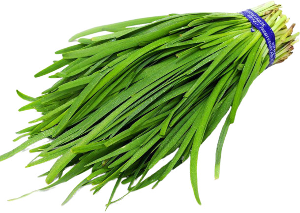 新鲜韭菜PNG透明图，高清动植物元素，植物设计素材下载