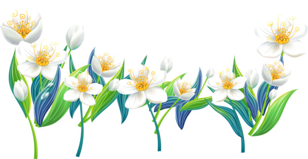 手绘白花高清PNG透明素材，漂浮花瓣元素，免费下载