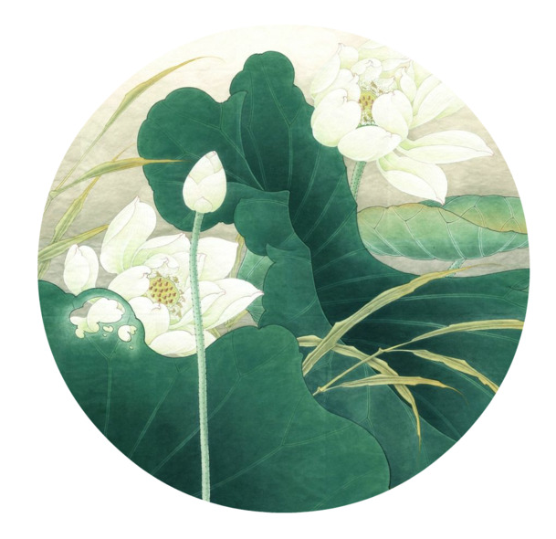 中国风设计素材，高清PNG白色莲花绿色荷叶，透明图片装饰元素免费下载