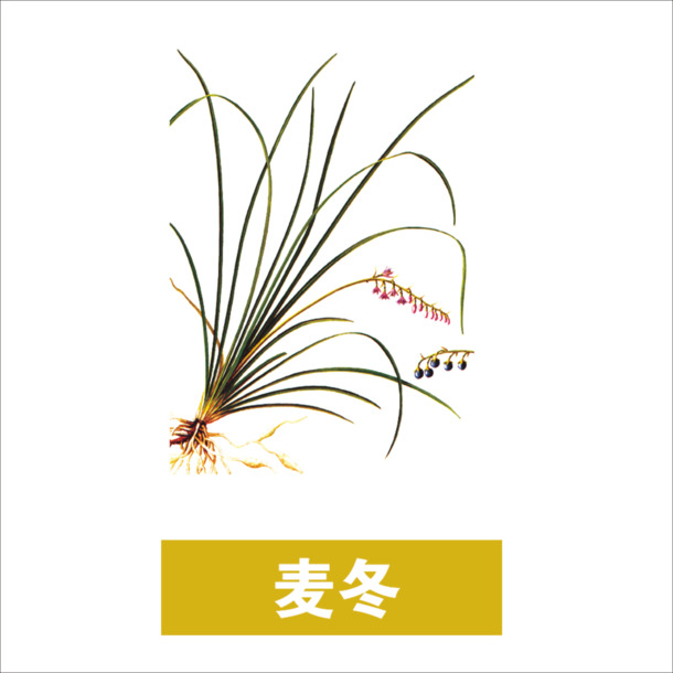 草药PNG透明图集，动植物元素丰富，高清设计素材下载