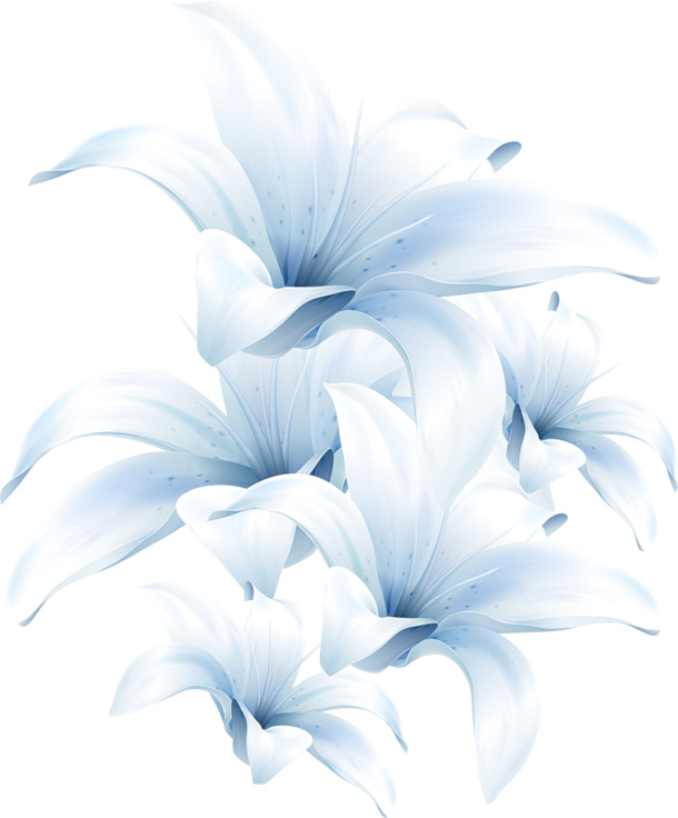 水仙花白色花瓣高清PNG素材，透明图片装饰元素，免费下载