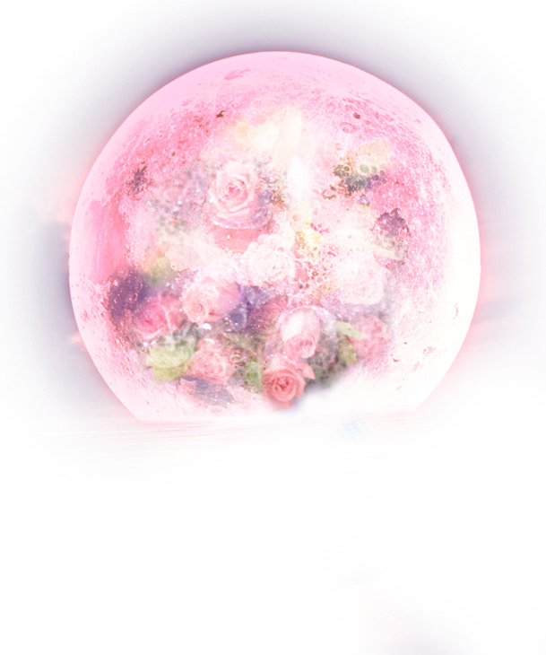 高清PNG透明玫瑰花圆月背景图，情人节节日元素设计素材下载