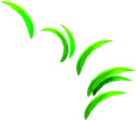 六一儿童节素材，高清PNG绿草绿叶装饰图片，透明背景，节日氛围设计元素