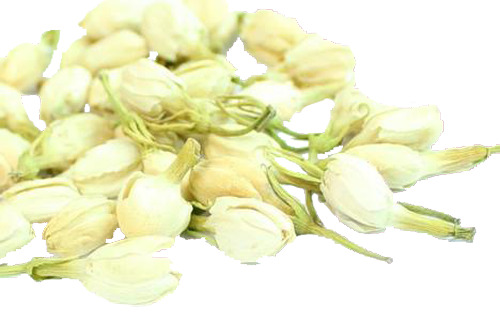 清新茉莉花茶PNG透明图片，动植物元素设计素材下载