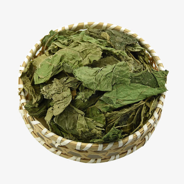 桑叶干霜高清PNG素材，透明动植物元素，设计必备，免费下载