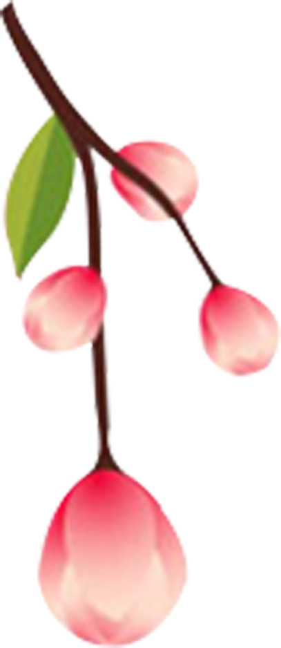 春桃盛放美景，高清PNG透明桃花漂浮花瓣图片素材下载
