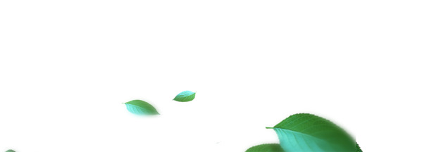 高清PNG透明飘浮树叶元素，叶子图片设计素材免费下载