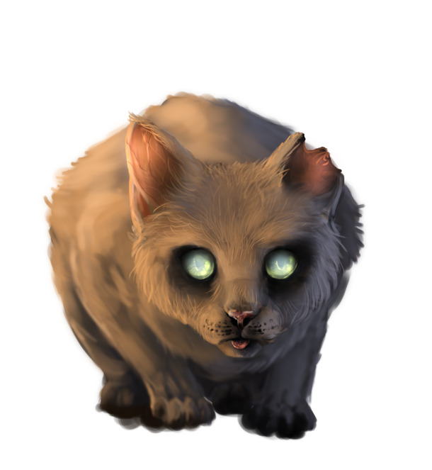 亮眼萌猫PNG透明图，动植物元素动物设计素材免费下载