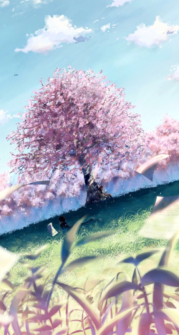 紫色樱花与碧蓝天空PNG透明背景，卡通手绘图片素材，高清下载