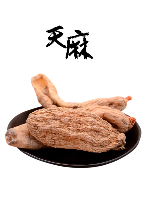 中药天麻PNG透明图，高清动植物元素，植物设计素材下载