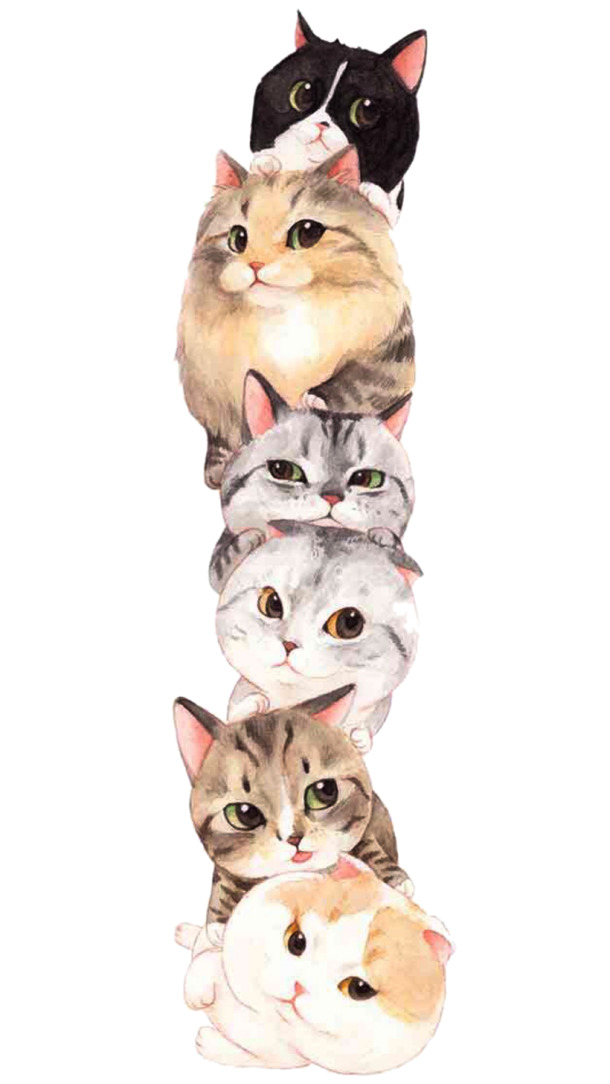萌猫六只PNG透明图片，高清动植物元素，设计素材免费下载