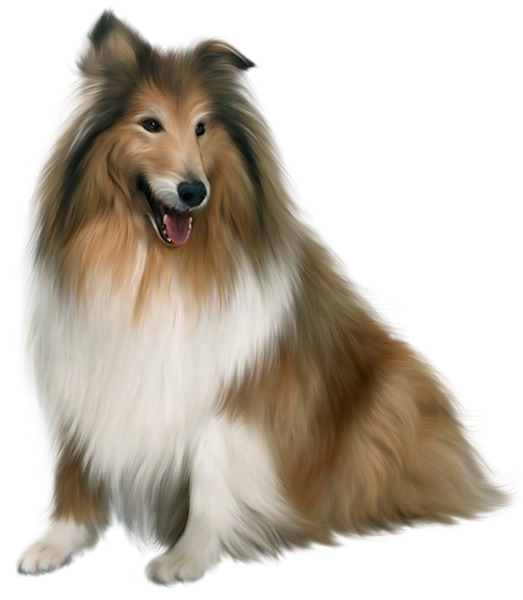 手绘狐狸犬PNG透明图，动植物元素设计素材，高清下载
