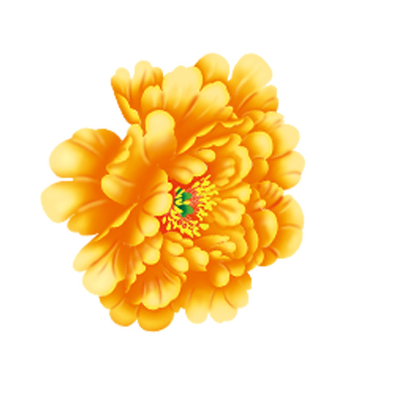 黄色花朵PNG透明图片，高清漂浮花瓣素材，免费下载设计元素