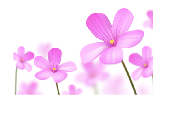 粉色小花PNG透明图片，高清花瓣素材，设计漂浮元素，免费下载